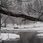 Couette-café Il Sottobosco 3*