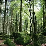 Il Sottobosco Bed & Breakfast Val Masino