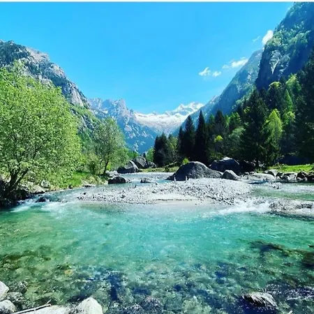 Bed & Breakfast Il Sottobosco 3*
