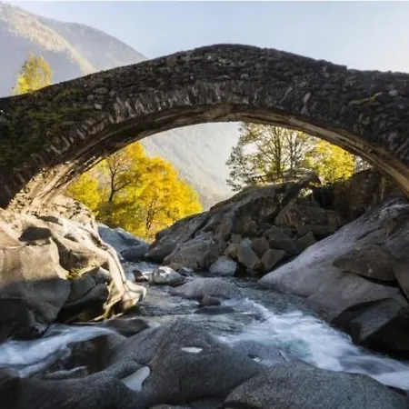 Il Sottobosco Val Masino