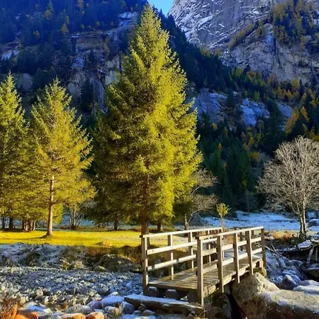 Il Sottobosco 3*