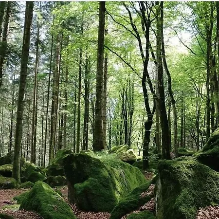 Il Sottobosco Bed & Breakfast Val Masino