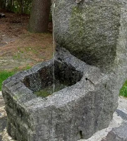 Il Sottobosco * Val Masino