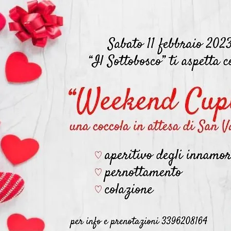 Il Sottobosco 3* Val Masino